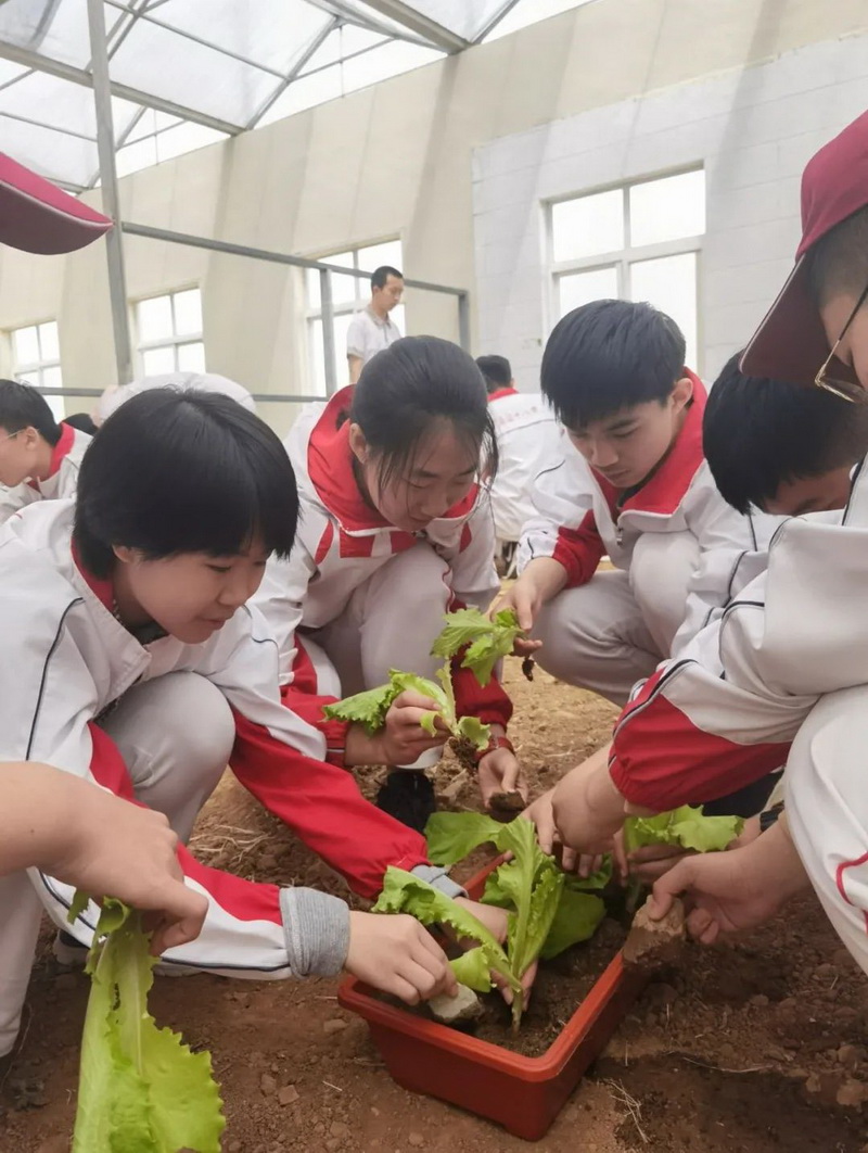 image016.jpg image016.jpg