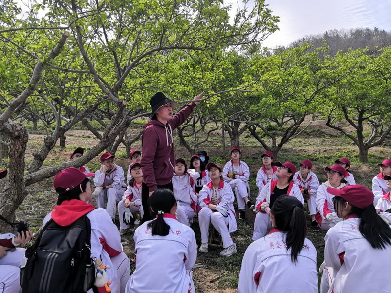 image033.jpg image033.jpg