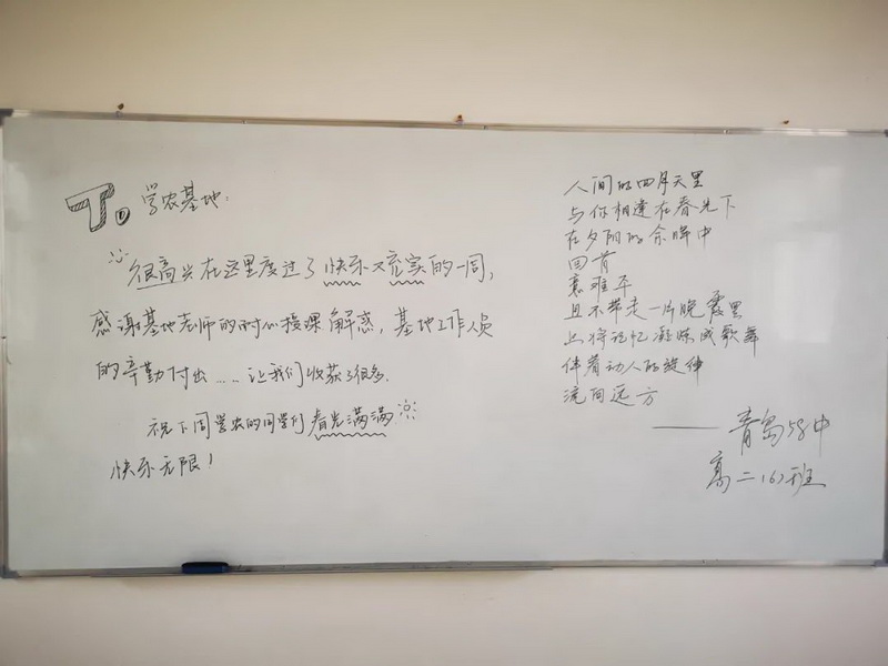 image135.jpg image135.jpg